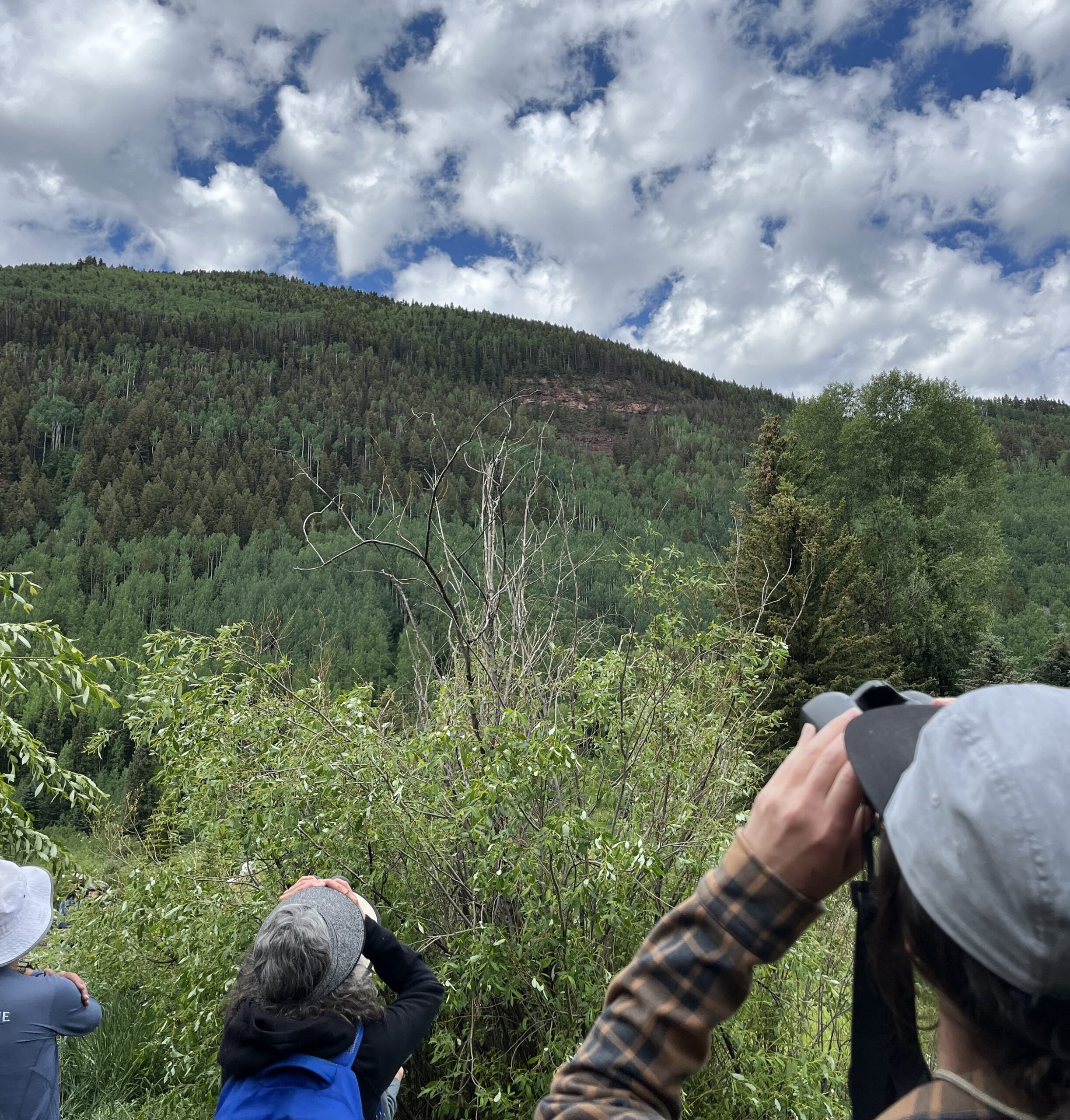 Several people wearing hats and jackets observe a lush, forested hillside, using binoculars and cameras. Overhead, the sky is partly cloudy, with patches of blue visible.