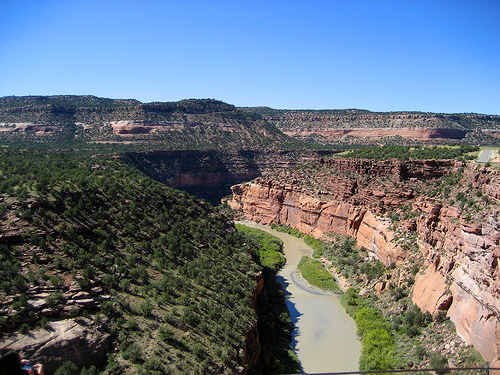 Aerial view of a deep canyon with green vegetation and a river running through it. The canyon has steep rocky walls, and the sky is clear and blue.